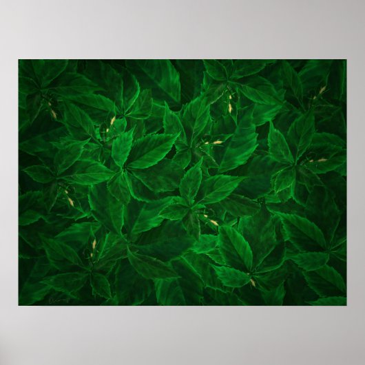Botanische Greenery Leaf Pile Poster (Voorkant)
