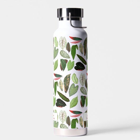 Botanische  groen bladeren waterfles (Links)