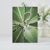 Botanische groene bladeren wenskaart kaart (Staand voorkant)