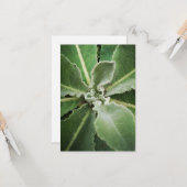 Botanische groene bladeren wenskaart kaart (Voorkant / Achterkant in situ)