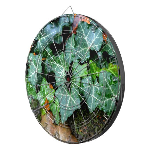 Botanische groene Ivy en veldsteen Dartbord (Voorkant Rechts)