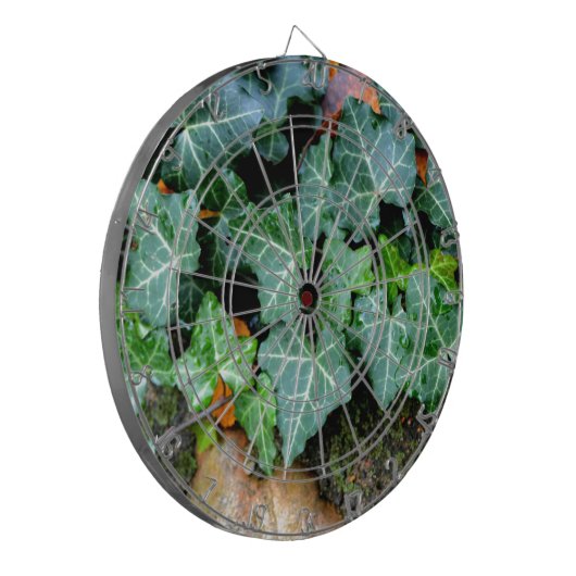 Botanische groene Ivy en veldsteen Dartbord (Voorkant Links)