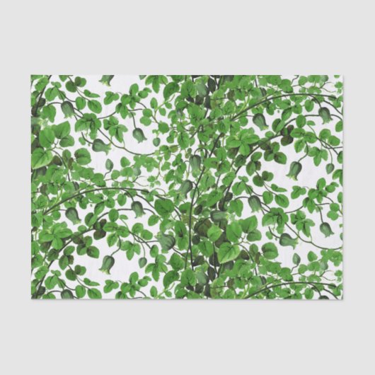 Botanische groene Ivy Vine Tissuepapier (Voorkant)