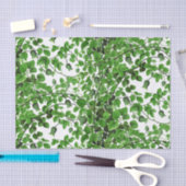 Botanische groene Ivy Vine Tissuepapier (Craft)