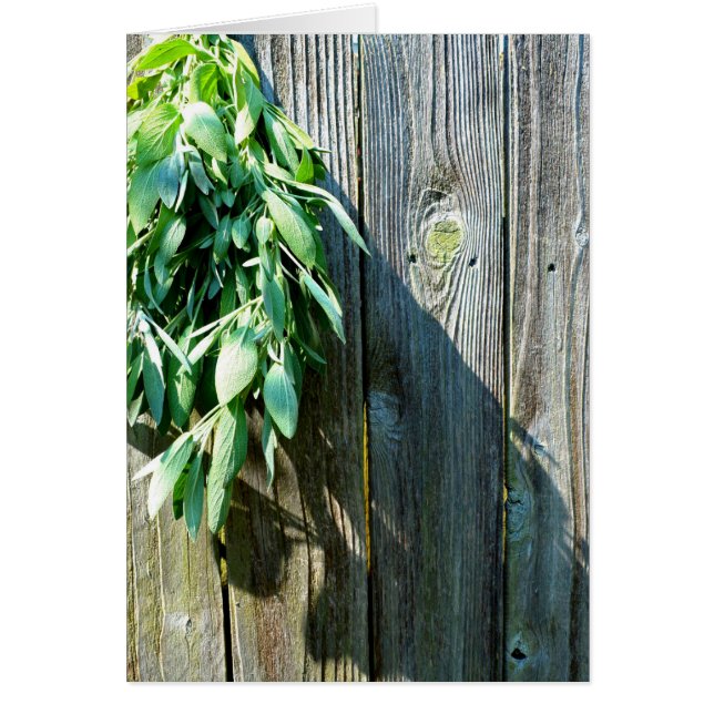 Botanische groene kruiden distressed houtnerf (Voorkant)