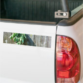 Botanische groene kruiden distressed houtnerf bumpersticker (Op Truck)