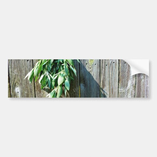 Botanische groene kruiden distressed houtnerf bumpersticker (Voorkant)