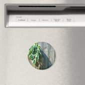 Botanische groene kruiden distressed houtnerf magneet (Insitu (Vaatwasser))