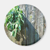 Botanische groene kruiden distressed houtnerf magneet (Voorkant)