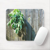 Botanische groene kruiden distressed houtnerf muismat (Met muis)