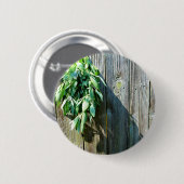 Botanische groene kruiden distressed houtnerf ronde button 5,7 cm (Voorkant /achterkant)