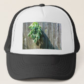 Botanische groene kruiden distressed houtnerf trucker pet (Voorkant)