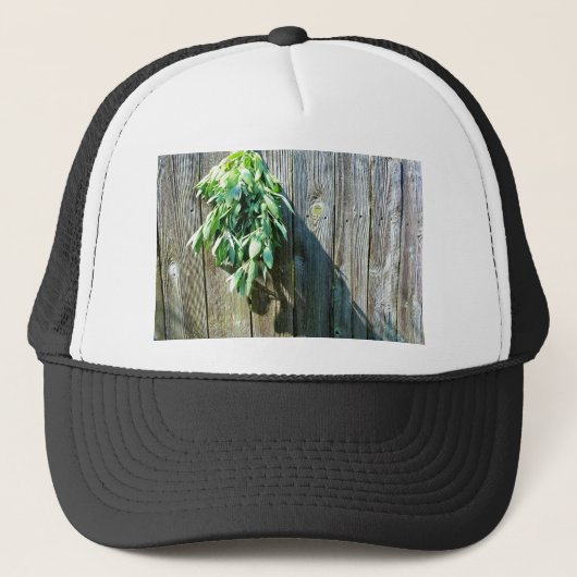 Botanische groene kruiden distressed houtnerf trucker pet (Voorkant)