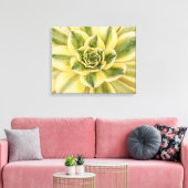 Botanische, groene Succulente foto op canvas (Insitu (Woonkamer))
