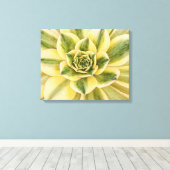 Botanische, groene Succulente foto op canvas (Insitu (Houten vloer))