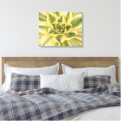 Botanische, groene Succulente foto op canvas Afdruk (Insitu (Slaapkamer))