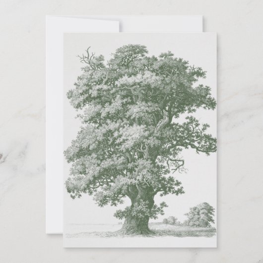  Botanische Groene Tuin Party Wedding Theme Kaart (Achterkant)