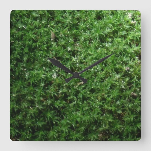Botanische Ground Moss Natuur Clock in de buitenlu Vierkante Klok (Voorkant)