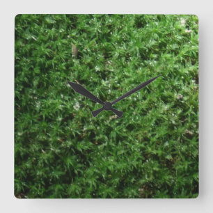 Botanische Ground Moss Natuur Clock in de buitenlu Vierkante Klok