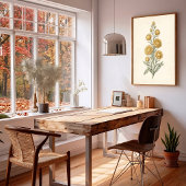 Botanische Helichrysum Vintage Kunstprint Poster