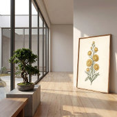 Botanische Helichrysum Vintage Kunstprint Poster