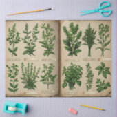 Botanische Herbarium Decoupage  varens, Tissuepapier (Craft)