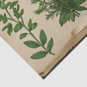 Botanische Herbarium Decoupage  varens, Tissuepapier (Detail)