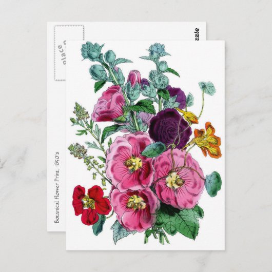  Botanische Hollyhocks Briefkaart (Voorkant / Achterkant)