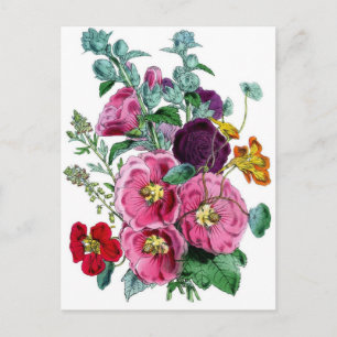  Botanische Hollyhocks Briefkaart