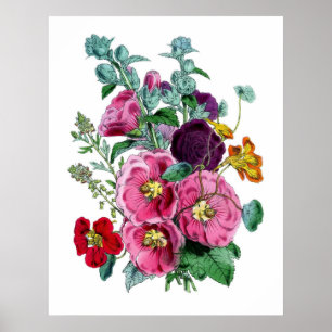  Botanische Hollyhocks Poster