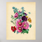  Botanische Hollyhocks Poster (Voorkant)