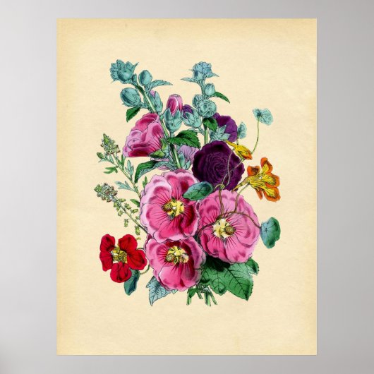  Botanische Hollyhocks Poster (Voorkant)