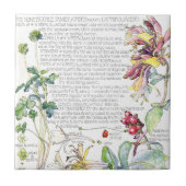 Botanische Honeysuckle Wilde bloemen Tile Tegeltje (Voorkant)