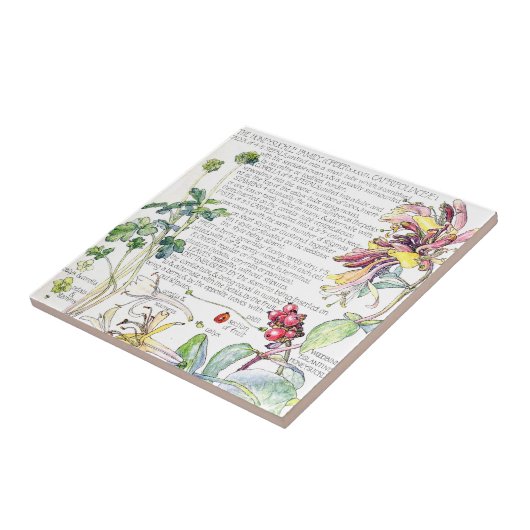Botanische Honeysuckle Wilde bloemen Tile Tegeltje (Zijkant)