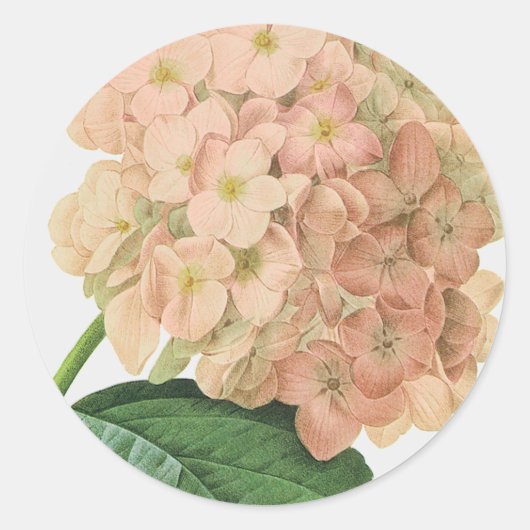 Botanische Hydrangea Bloemenbruiloft Ronde Sticker (Voorkant)