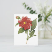 botanische illistratie van rode bloem; Dubbele dah Briefkaart (Staand voorkant)