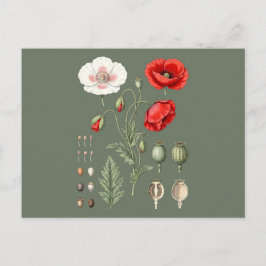 Botanische illustratie bloemkunst. briefkaart