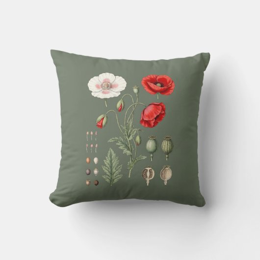 Botanische illustratie bloemkunst. kussen (Voorkant)