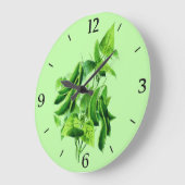  botanische illustratie, bonenwijn grote klok (Hoek)