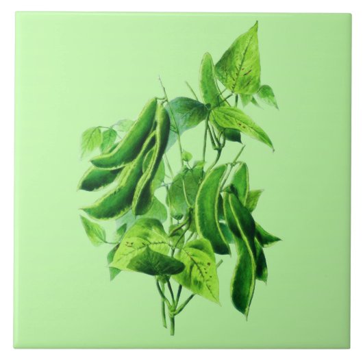  botanische illustratie, bonenwijn tegeltje (Voorkant)