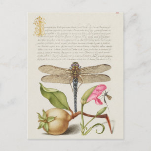  botanische illustratie briefkaart