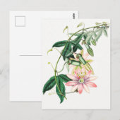  botanische illustratie briefkaart (Voorkant / Achterkant)