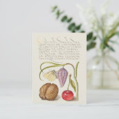  botanische illustratie briefkaart (Staand voorkant)