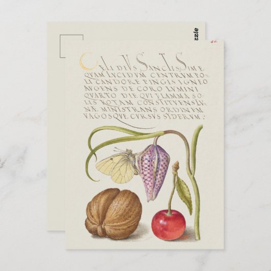 botanische illustratie briefkaart (Voorkant / Achterkant)