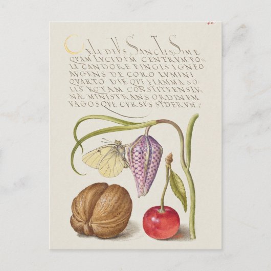  botanische illustratie briefkaart (Voorkant)