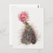  botanische illustratie briefkaart (Voorkant / Achterkant)