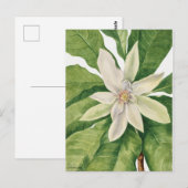 botanische illustratie briefkaart (Voorkant / Achterkant)