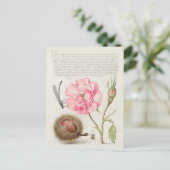  botanische illustratie briefkaart (Staand voorkant)