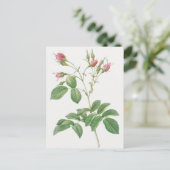  botanische illustratie briefkaart (Staand voorkant)