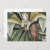  botanische illustratie briefkaart (Voorkant / Achterkant)